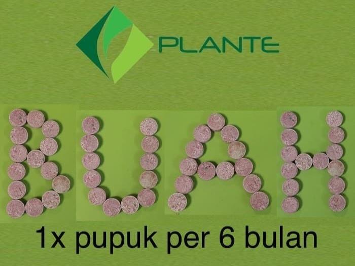 PUPUK TANAMAN BUNGA & BUAH NPK TABLET FUNGSI HARA